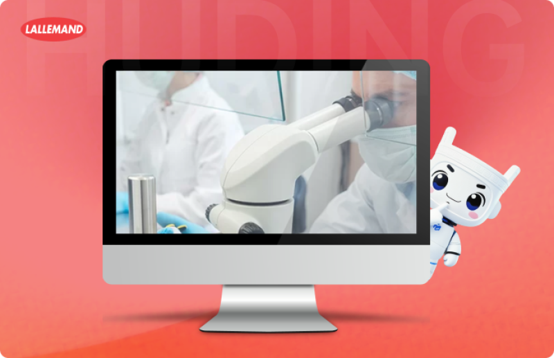 Raman | Brand Search Positioning Upgrade for Precision Traffic Capture